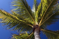 Florida Gulf Coast Apartments Retirement Communities Homes Florida Gulf Coast Apartments Retirement Communities Homes