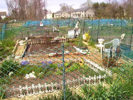 community garden and chair