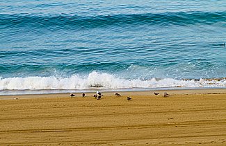 Los Angeles beach