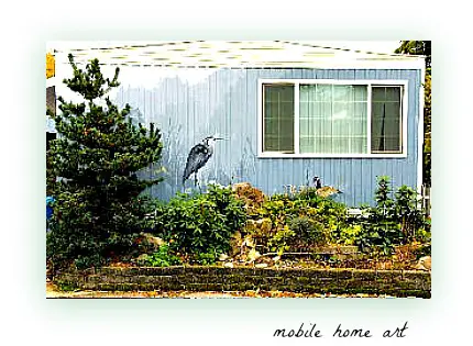 Bow Lake mobile home