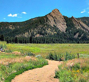 Colorado mountain and meadows