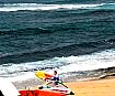 Maui Hawaii surfer