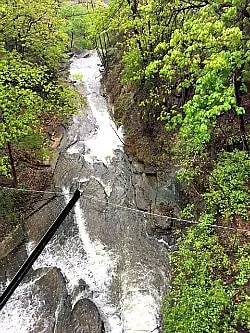 View of stream from bridge on Cornell University campus