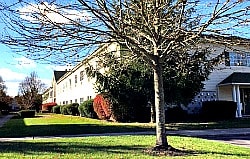 Medford Landing senior garden apartments in Medford New York