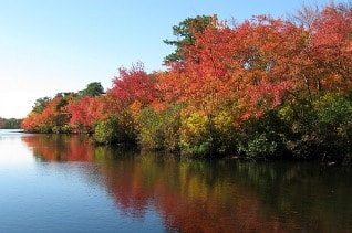 Connetquot River on Long Island, NY in Fall