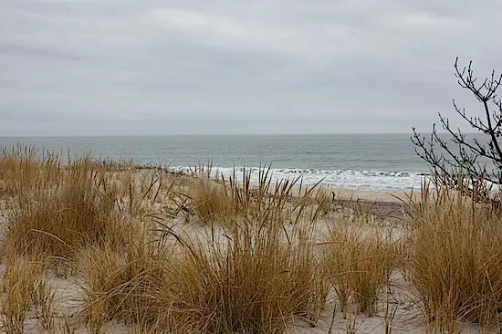 Long Island Smith Point Beach in winter
