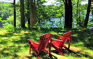 Wooded views at Avalon Village in Hampden Maine
