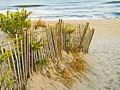 Jersey Shore sand dunes