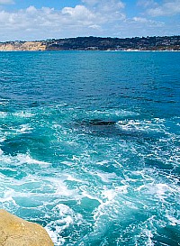 La Jolla ocean surf