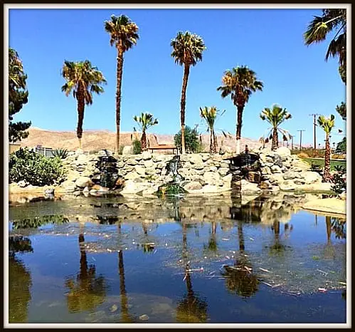 waterfalls at entrance to Caliente Springs Resort