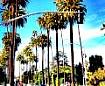 Beverly Hills Calif.