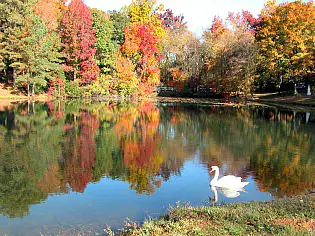 Carmel Hills retirement community