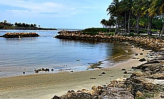 Florida cove in Jupiter Florida