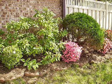 garden border and trim