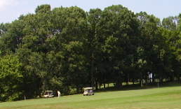 golf cart and greens