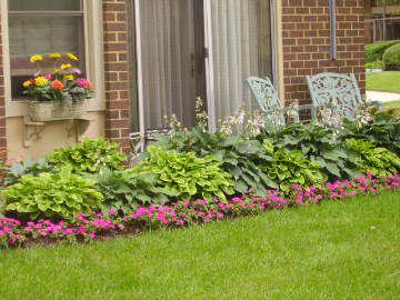 patio furniture and garden