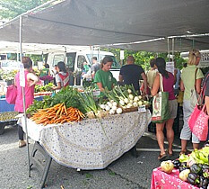 Arlington farmers market