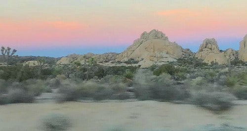 Joshua Tree State Park at dusk