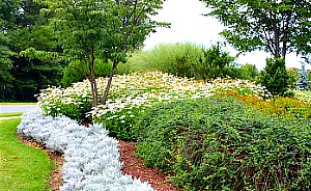 Leisure World of Maryland garden beds