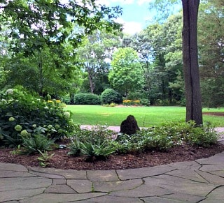 public library outdoor area