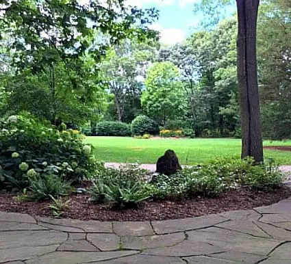 public library outdoor area