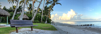 bench on a beach in Naples Fl