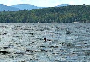 lake in New Hampshire