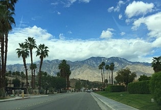 Palm Springs neighborhood street