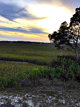 Pawleys Island marshes