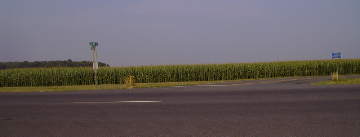 cornfields in Delaware