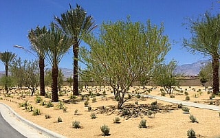 Del Webb Rancho Mirage desert entry landscape