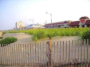 Rehoboth Beach dunes and boardwalk