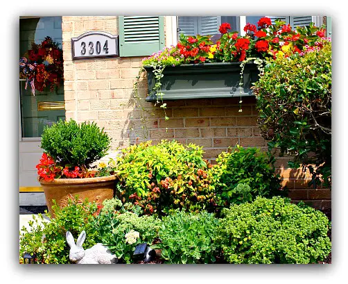 window box garden