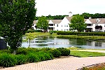 Walden Pond apts and pond